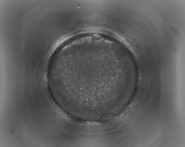 X0000111591312200908131332