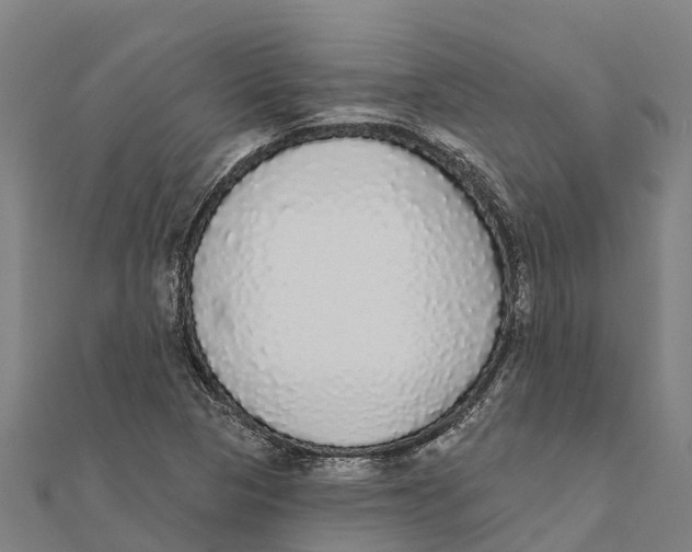 X0000111591313200908131332