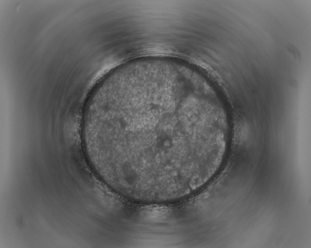 X0000111591314200908131332