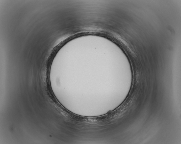 X0000111591315200908131332