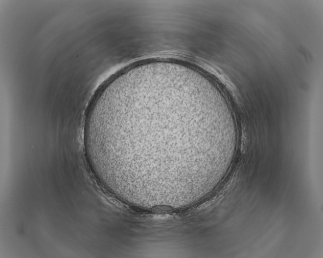 X0000111591316200908131332