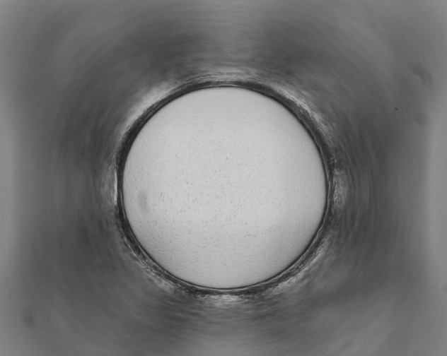 X0000111591317200908131332