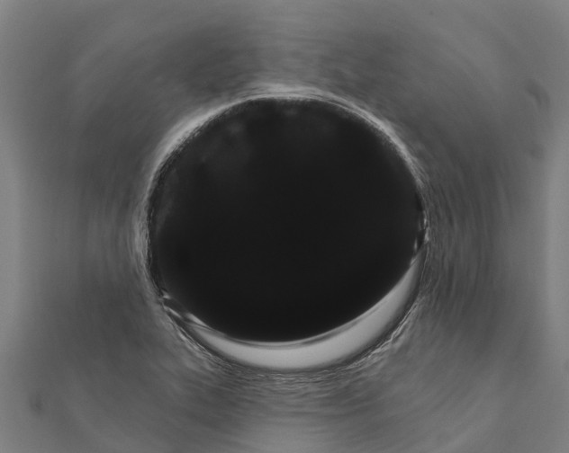 X0000111591319200908131332