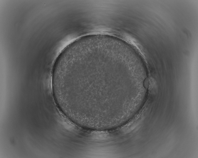 X0000111591320200908131332