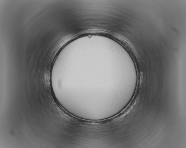 X0000111591321200908131332