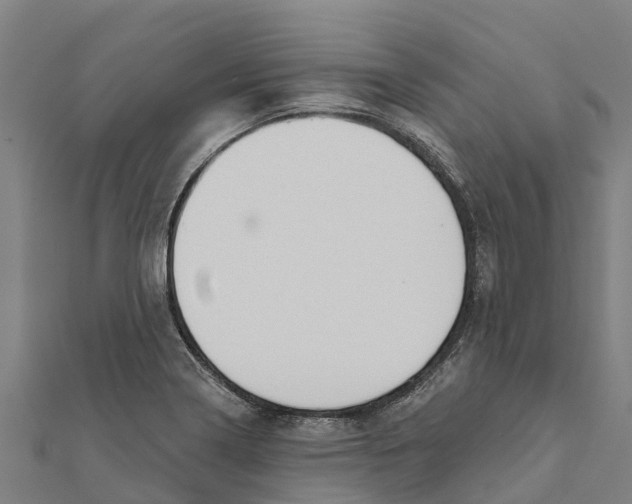 X0000111591322200908131332