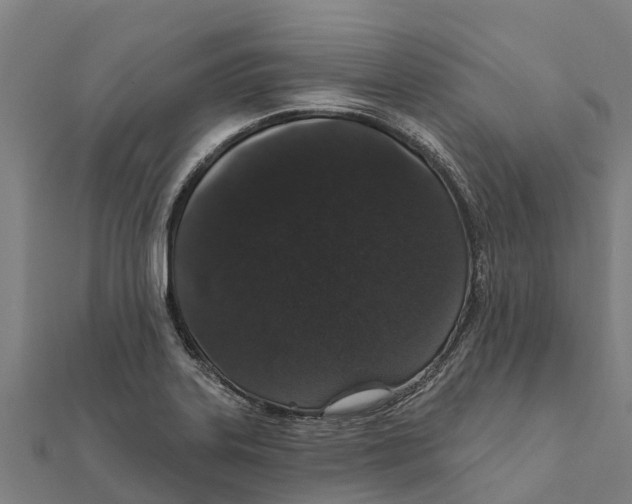 X0000111591323200908131332