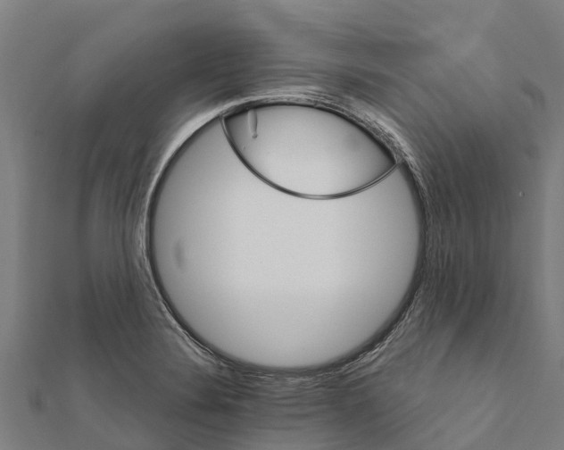 X0000111591324200908131332