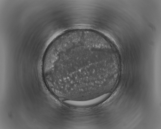 X0000111591325200908131332