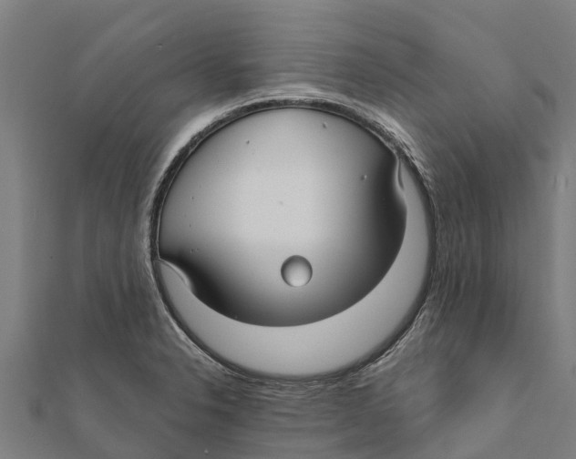 X0000111591326200908131332