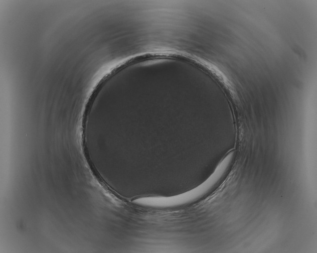 X0000111591327200908131332