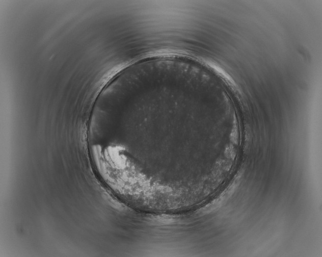 X0000111591329200908131332