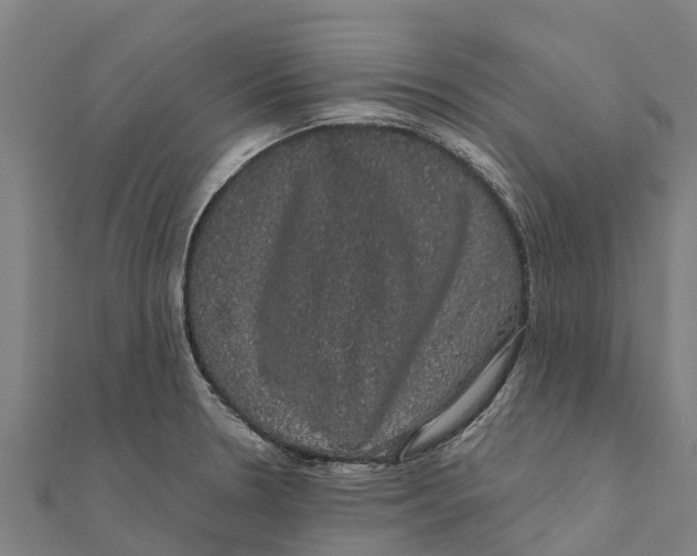 X0000111591330200908131332