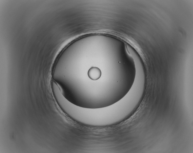 X0000111591332200908131332