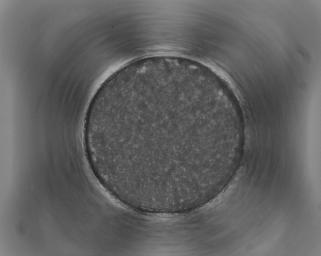 X0000111591333200908131332