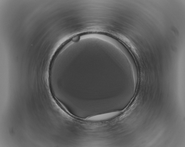 X0000111591334200908131332