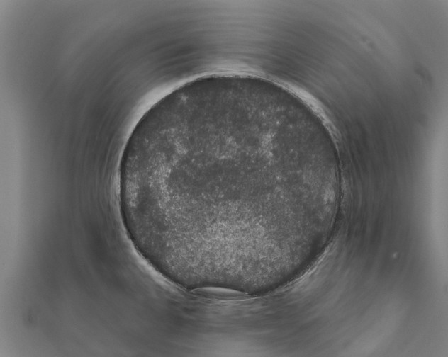 X0000111591335200908131332
