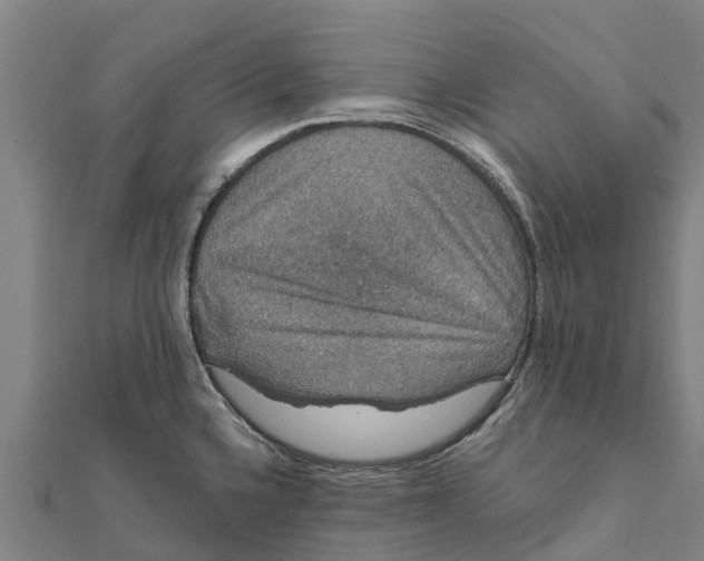 X0000111591336200908131332