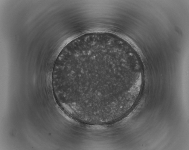 X0000111591337200908131332