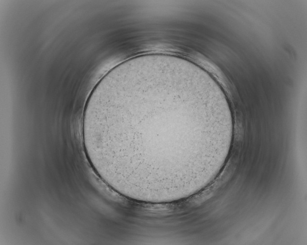 X0000111591338200908131332