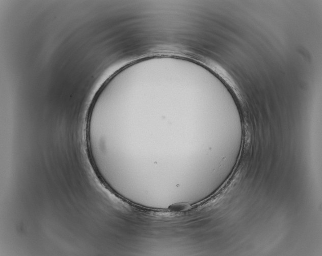 X0000111591339200908131332