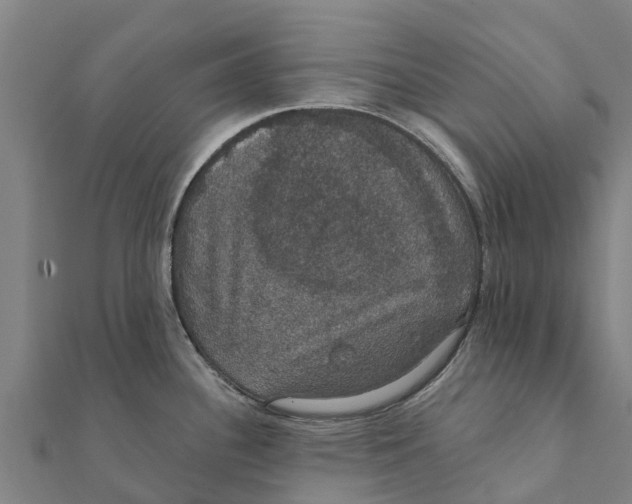 X0000111591340200908131332