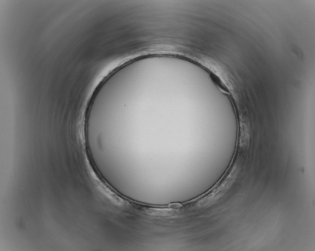 X0000111591342200908131332