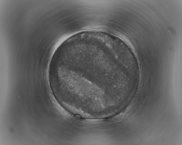 X0000111591344200908131332