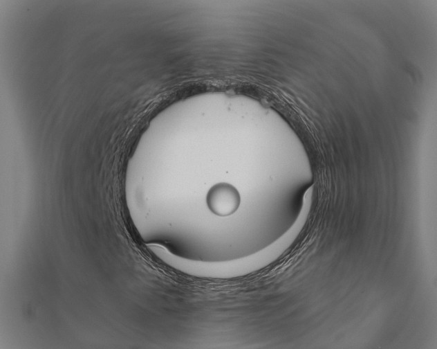 X0000111591345200908131331