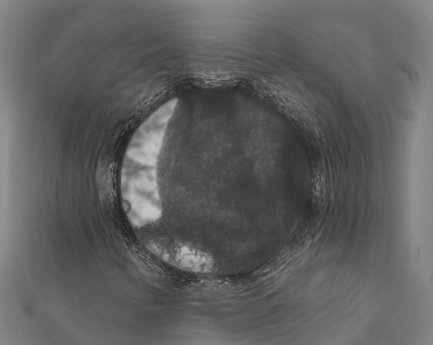 X0000111591346200908131331