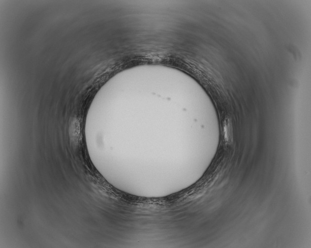 X0000111591347200908131331