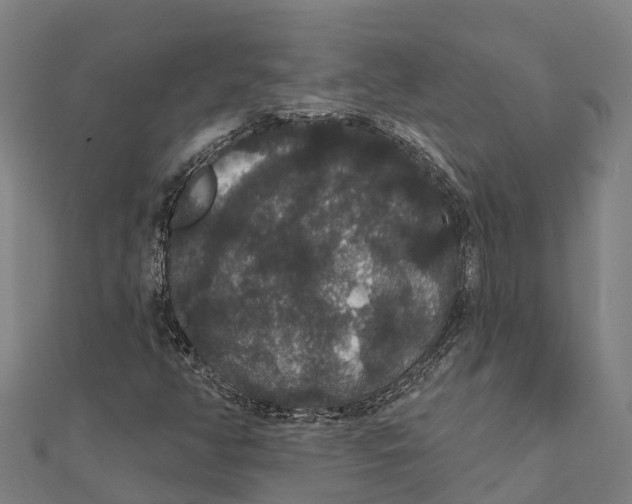 X0000111591350200908131331