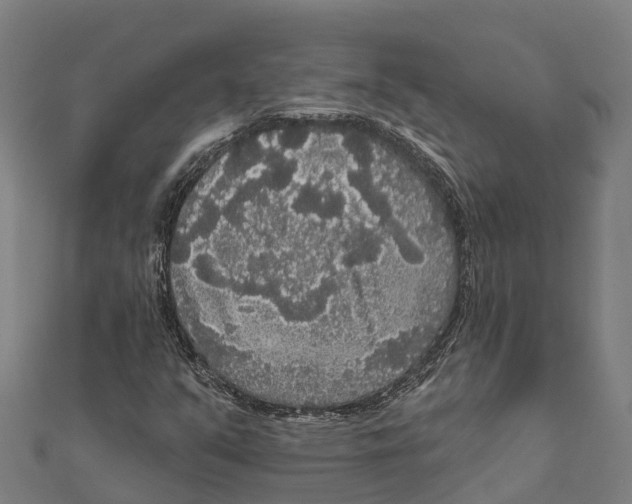 X0000111591351200908131331