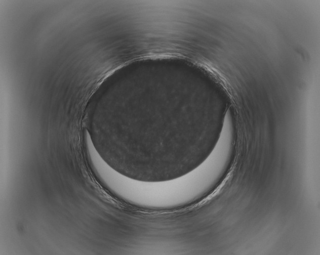 X0000111591353200908131331