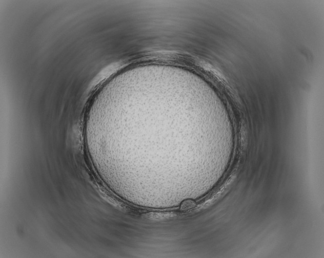 X0000111591354200908131331