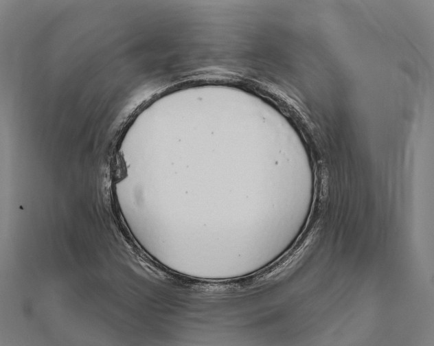 X0000111591355200908131331