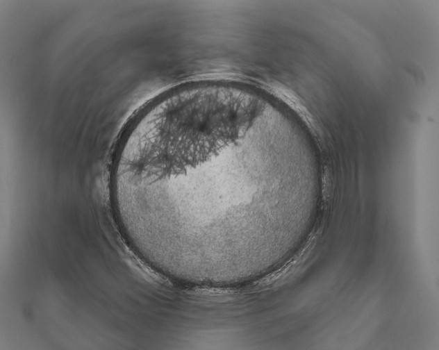 X0000111591356200908131331
