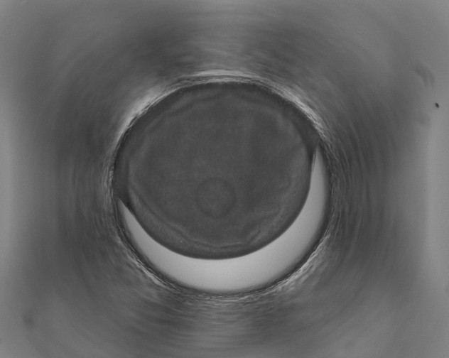 X0000111591357200908131331