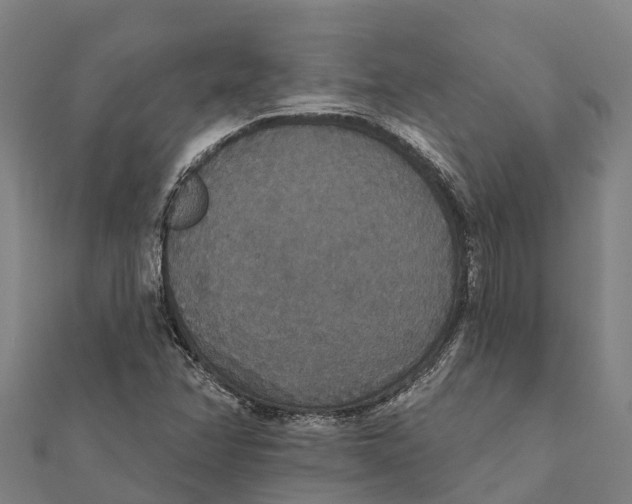 X0000111591358200908131331