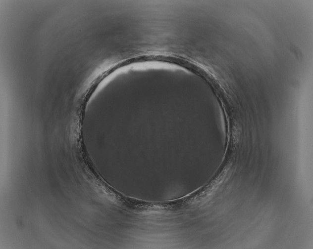 X0000111591359200908131331