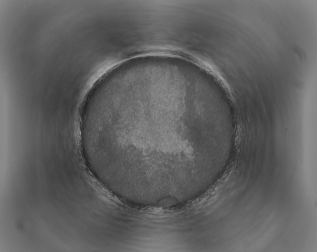 X0000111591360200908131331