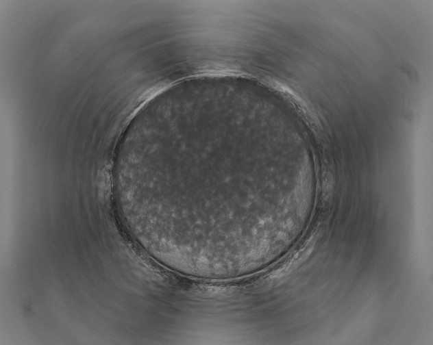 X0000111591361200908131331