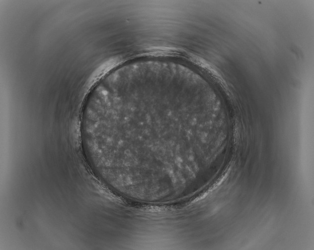 X0000111591362200908131331