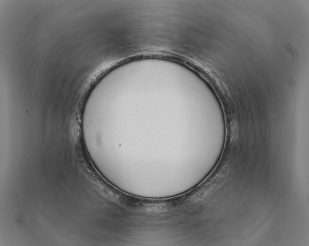 X0000111591363200908131331