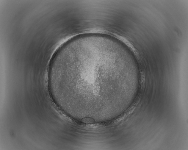 X0000111591364200908131331