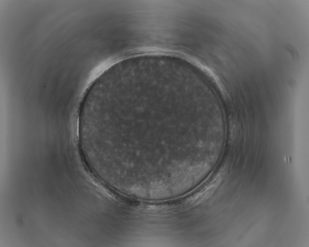 X0000111591365200908131331