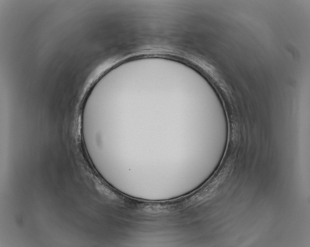 X0000111591366200908131331
