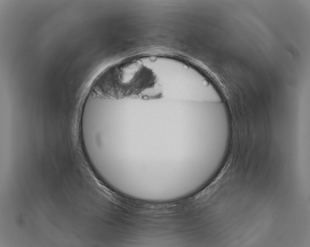 X0000111591367200908131331
