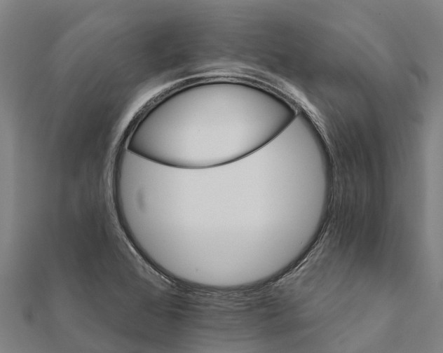 X0000111591368200908131331