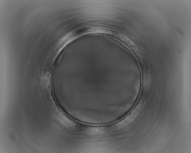 X0000111591369200908131331
